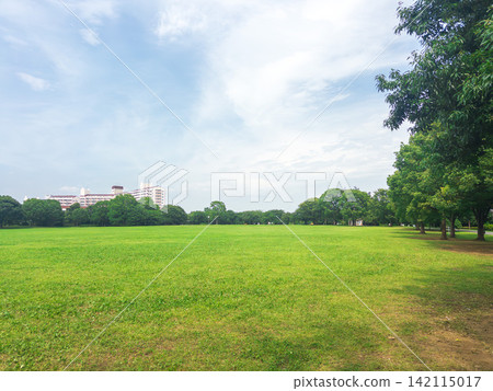 綠樹成蔭的公園與城市景觀 綠樹成蔭的公園與城市景觀 142115017