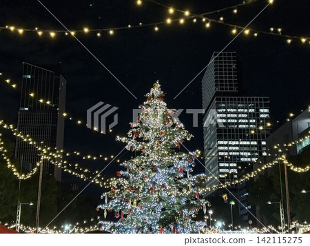 與聖誕樹的風景 與聖誕樹的風景 142115275