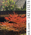 The roof and the autumnal leaves 142115278