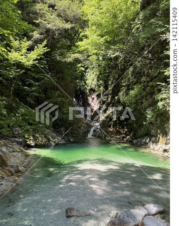 A waterfall surrounded by fresh greenery A waterfall surrounded by fresh greenery 142115409