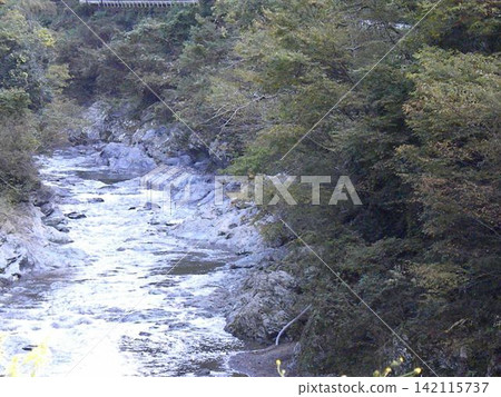 Landscape in the valley Landscape in the valley 142115737