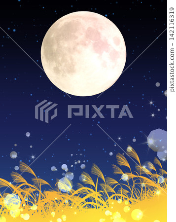 A vertical, sparkling field of pampas grass and a full moon. 142116319