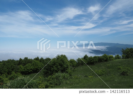 Sea of clouds as seen from the observation deck at Kijihiki Plateau 142116513
