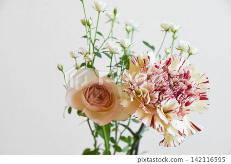 Roses and carnations Roses and carnations 142116595