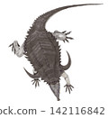 Desmatosuchus: A large, herbivorous lizard that had armor and an appearance similar to a crocodile, but was actually a species that roamed North America extensively during the Late Triassic period. Desmatosuchus: A large, herbivorous lizard that had armor and an appearance similar to a crocodile, but was actually a species that roamed North America extensively during the Late Triassic period. 142116842