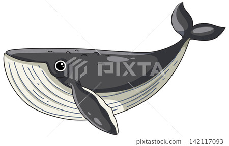 Cute Cartoon Humpback Whale Vector Illustration Isolated on White Background Cute Cartoon Humpback Whale Vector Illustration Isolated on White Background 142117093