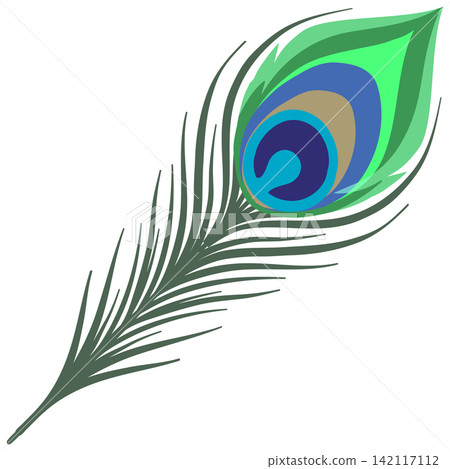 Stylized Peacock Feather Vector Illustration Isolated on White Background Stylized Peacock Feather Vector Illustration Isolated on White Background 142117112