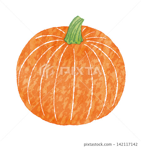 Hand-drawn watercolor illustration of a pumpkin | Autumn flavors, Halloween, vegetables, white background 142117142