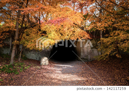 Daio Cave (Daio Wasabi Farm) surrounded by autumn foliage Daio Cave (Daio Wasabi Farm) surrounded by autumn foliage 142117259