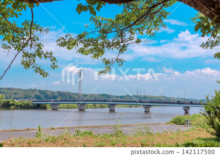 Summer scenery of bridge piers near Chiba Sakura Furusato Park Summer scenery of bridge piers near Chiba Sakura Furusato Park 142117500
