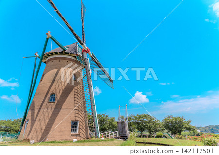 A refreshing summer scene of sunflowers and a Dutch windmill. A refreshing summer scene of sunflowers and a Dutch windmill. 142117501