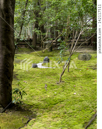 A shrine garden covered in moss A shrine garden covered in moss 142117511