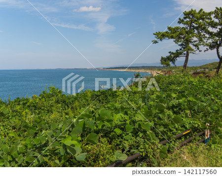 The scenery of Amigozaki Cape The scenery of Amigozaki Cape 142117560