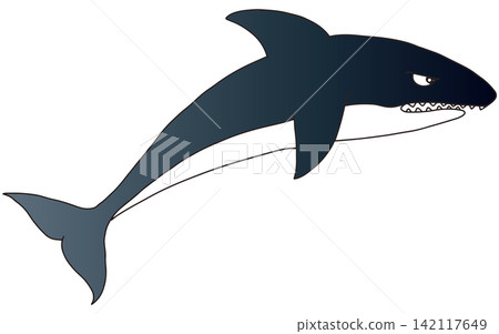 Hand-drawn animal illustration ☆ Orca Hand-drawn animal illustration ☆ Orca 142117649