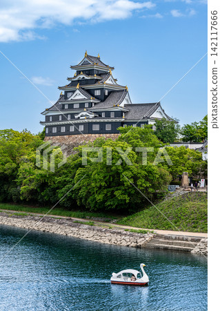 Okayama Castle and Asahi River (National Important Cultural Property) Okayama Castle and Asahi River (National Important Cultural Property) 142117666