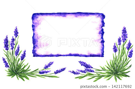Hand drawn watercolor romantic natural floral frame, signboard. French style Provence for the decor of the store, salon, plant products. Lavender flowers. Hand drawn watercolor romantic natural floral frame, signboard. French style Provence for the decor of the store, salon, plant products. Lavender flowers. 142117692