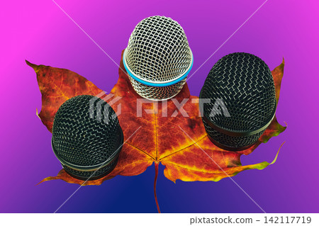 Meshes to protect the vocal microphone head on autumn maple leaves on pink Meshes to protect the vocal microphone head on autumn maple leaves on pink 142117719