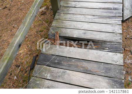 Damaged Wooden Forest Footbridge with Broken and Rotten Planks Creating Safety Hazard Damaged Wooden Forest Footbridge with Broken and Rotten Planks Creating Safety Hazard 142117861