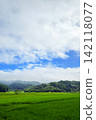Rainy field of rain 142118077