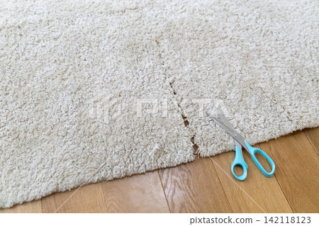 Cut up the carpet and dispose of it. Cut up the carpet and dispose of it. 142118123
