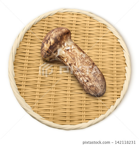 Realistic illustration of a matsutake mushroom Realistic illustration of a matsutake mushroom 142118231