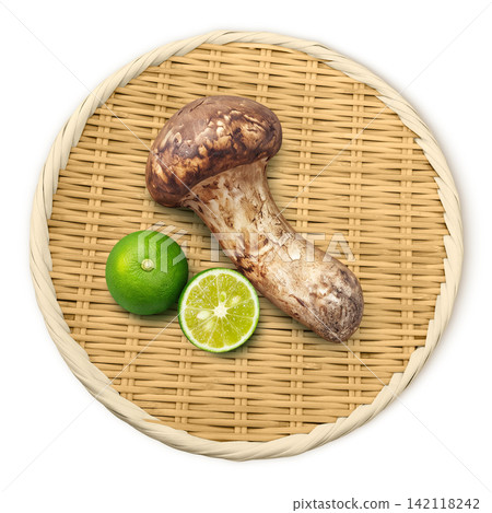 Realistic illustration of a matsutake mushroom 142118242