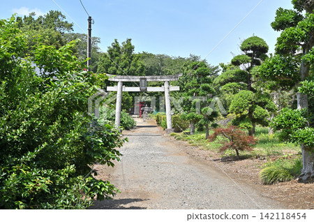 A Walk Around Iwatsuki: Kashiwazaki Kuizu Shrine - Approach to the Shrine, Kashiwazaki, Iwatsuki Ward A Walk Around Iwatsuki: Kashiwazaki Kuizu Shrine - Approach to the Shrine, Kashiwazaki, Iwatsuki Ward 142118454