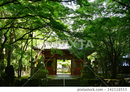 Kamine-sanji Temple: Green maple leaves and the temple gate Kamine-sanji Temple: Green maple leaves and the temple gate 142118553