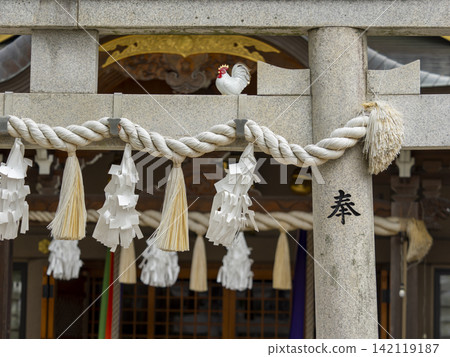 靖國神社牌坊和錨繩 142119187