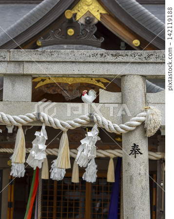靖國神社牌坊和錨繩 142119188