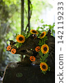 Driftwood decorated with sunflowers and pumpkin ornaments illustrates a Halloween inspired atmosphere with natural fall colors. 142119233