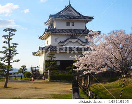 Marugame Castle's keep with cherry blossoms in bloom against a blue sky (Marugame City, Kagawa Prefecture) Marugame Castle's keep with cherry blossoms in bloom against a blue sky (Marugame City, Kagawa Prefecture) 142119305
