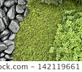 Green moss and rock garden background, copy space for your text. 142119661