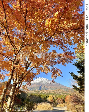 秋色的楓葉和富士山 秋色的楓葉和富士山 142119851