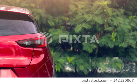 Rear view of a red car stopped on parking lot at a city road. Near lush green roadside trees making for wall during daytime. Rear view of a red car stopped on parking lot at a city road. Near lush green roadside trees making for wall during daytime. 142120067