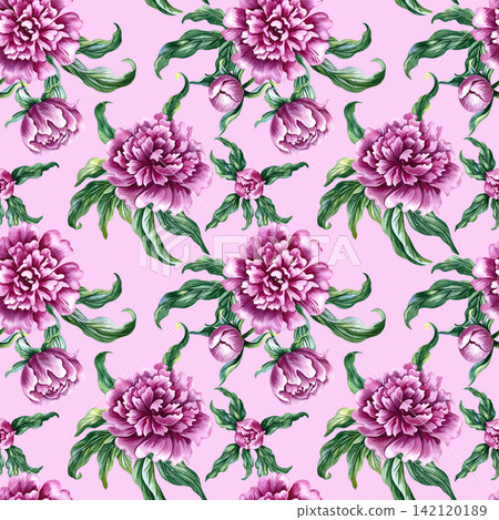 Seamless pattern with pink peonies. A hand drawn watercolor illustration. Against a pink background. Ideal for textiles, tablecloths and curtains, wallpaper, wrapping paper, prints, and much more. Seamless pattern with pink peonies. A hand drawn watercolor illustration. Against a pink background. Ideal for textiles, tablecloths and curtains, wallpaper, wrapping paper, prints, and much more. 142120189