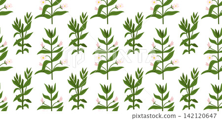 Green Hedge Hyssop Botanical Seamless Pattern Illustration 142120647