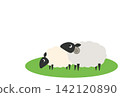 New Year's card template for the Year of the Sheep: Vector illustration of a sheep 142120890