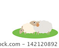 New Year's card template for the Year of the Sheep: Vector illustration of a sheep 142120892