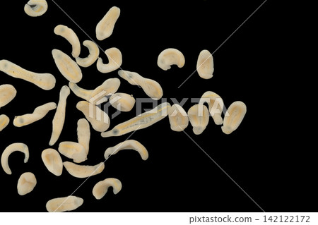 Freshwater Trematode Parasites: Clinostomum, Postorchigenes and Thapariella spp. for education in Lab. Freshwater Trematode Parasites: Clinostomum, Postorchigenes and Thapariella spp. for education in Lab. 142122172