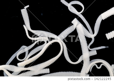Freshwater Trematode Parasites: Clinostomum, Postorchigenes and Thapariella spp. for education in Lab. Freshwater Trematode Parasites: Clinostomum, Postorchigenes and Thapariella spp. for education in Lab. 142122245