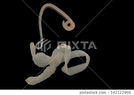 Freshwater Trematode Parasites: Clinostomum, Postorchigenes and Thapariella spp. for education in Lab. Freshwater Trematode Parasites: Clinostomum, Postorchigenes and Thapariella spp. for education in Lab. 142122908