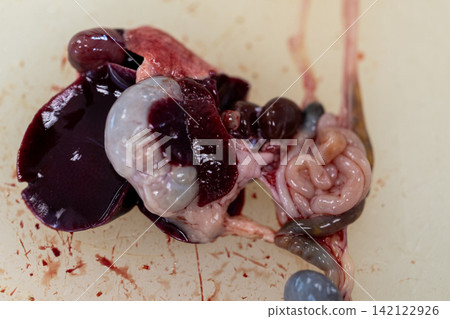 Freshwater Trematode Parasites: Clinostomum, Postorchigenes and Thapariella spp. for education in Lab. Freshwater Trematode Parasites: Clinostomum, Postorchigenes and Thapariella spp. for education in Lab. 142122926
