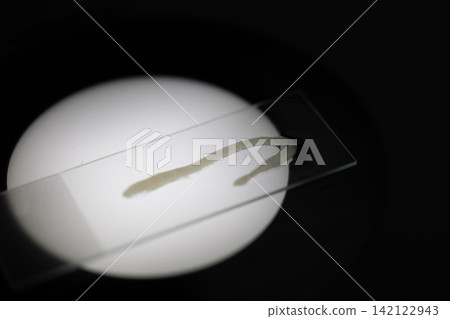 Freshwater Trematode Parasites: Clinostomum, Postorchigenes and Thapariella spp. for education in Lab. Freshwater Trematode Parasites: Clinostomum, Postorchigenes and Thapariella spp. for education in Lab. 142122943