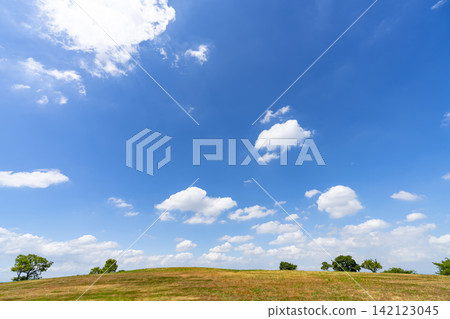 Summer blue sky, clouds, and grassland 142123045