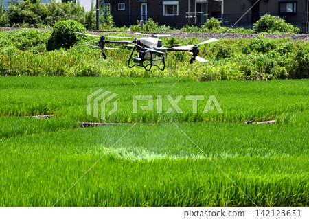Pesticide spraying by drone Pesticide spraying by drone 142123651