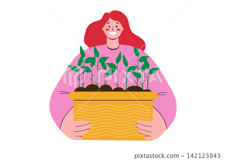 woman holds a box of seedlings in hands. spring. Vector illustration. gardening and farming woman holds a box of seedlings in hands. spring. Vector illustration. gardening and farming 142123843