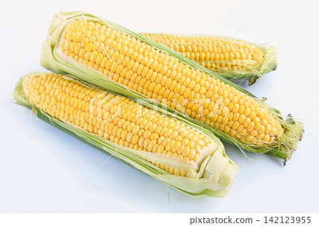 Corn (Shiosai Corn) Corn (Shiosai Corn) 142123955
