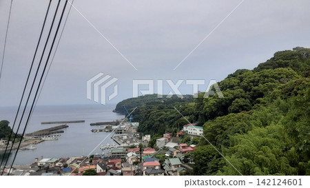 從港口和海濱可以俯瞰鬱鬱蔥蔥的真鶴小鎮。 從港口和海濱可以俯瞰鬱鬱蔥蔥的真鶴小鎮。 142124601
