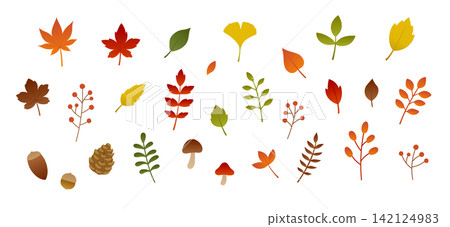Autumn leaf illustration set: maple, ginkgo, fallen leaves, withered leaves, maple tree, plants, decoration, ornament, nature. Autumn leaf illustration set: maple, ginkgo, fallen leaves, withered leaves, maple tree, plants, decoration, ornament, nature. 142124983